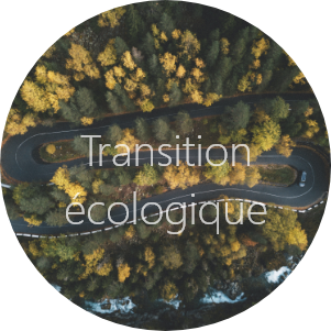 Transition cologique Ellis Car