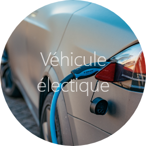 Ellis Car car hybrid